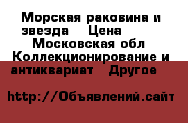 Морская раковина и звезда  › Цена ­ 500 - Московская обл. Коллекционирование и антиквариат » Другое   